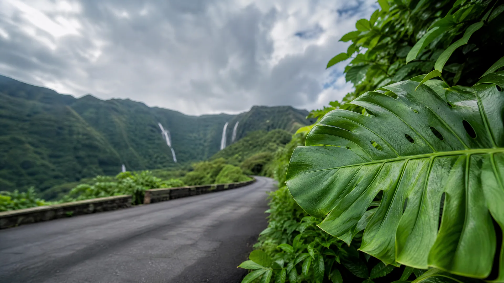 A curving paved road with a low stone wall runs past dense green foliage, with a large split-leaf plant in the right foreground and waterfalls on vegetated mountain slopes under cloudy skies in the distance.