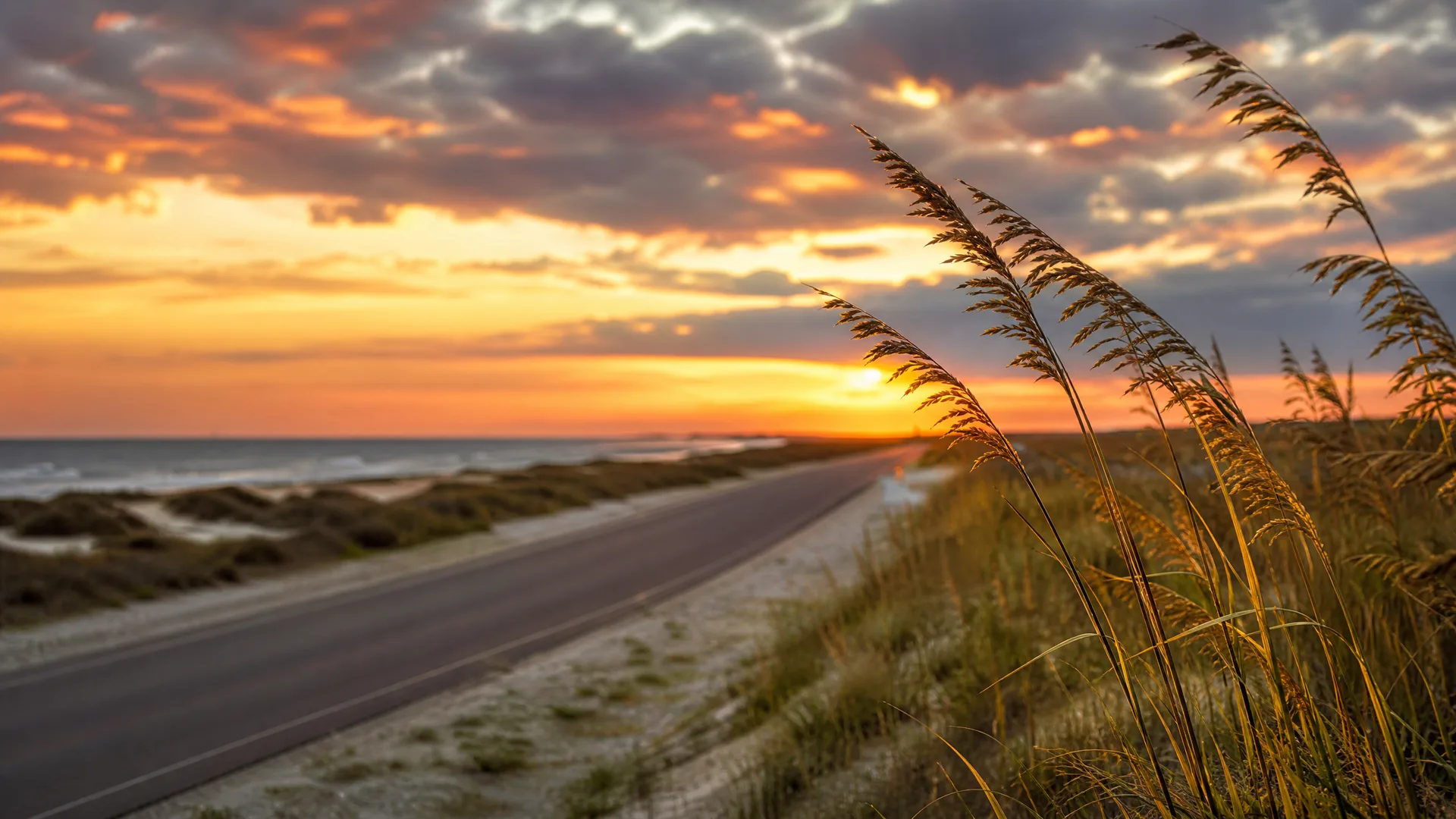 A two-lane paved road runs along low grassy dunes beside the ocean at sunset, with tall sea oats in sharp focus in the right foreground under an orange and purple cloudy sky.