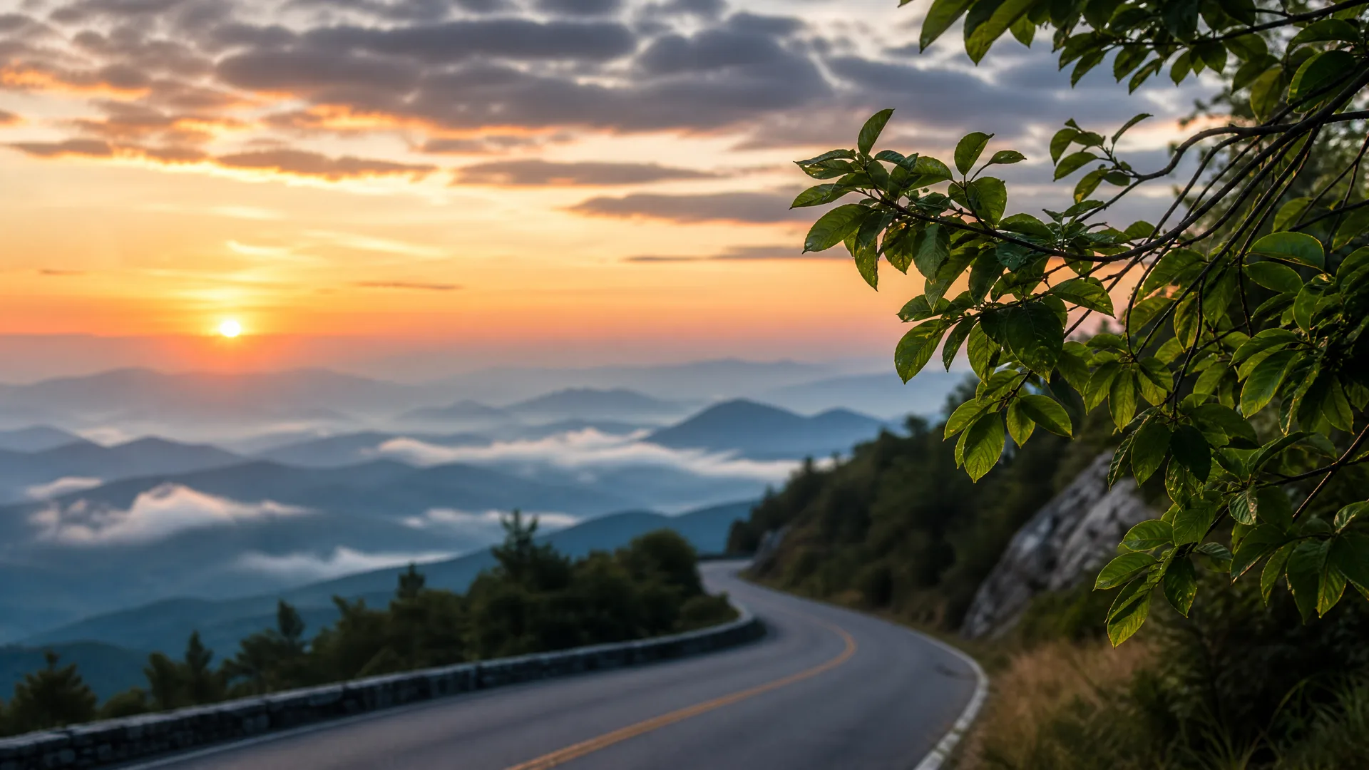 A curving two-lane road with a yellow center line runs along a ridge above fog-filled valleys and layered blue mountains at sunrise, with a leafy branch framing the right side of the frame.